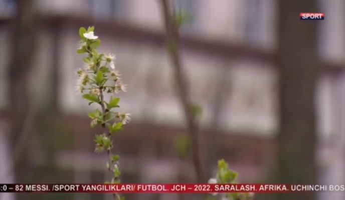 Mehribonlik uyi tarbiyalanuvchilari daraxt ekish aksiyasida faol ishtirok etmoqda